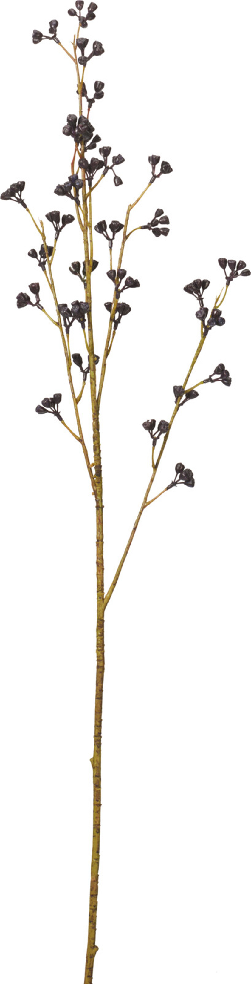 Faux Zanthoxylum Branch Faux Zanthoxylum Branch