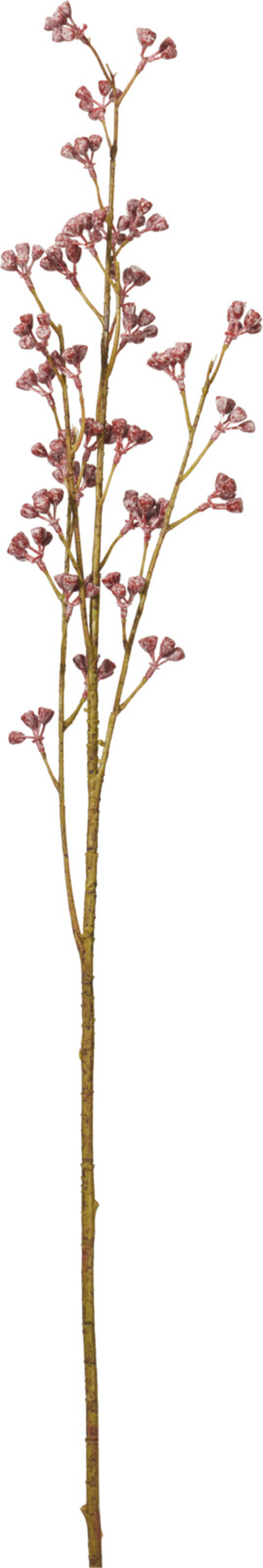 Faux Zanthoxylum Branch Faux Zanthoxylum Branch