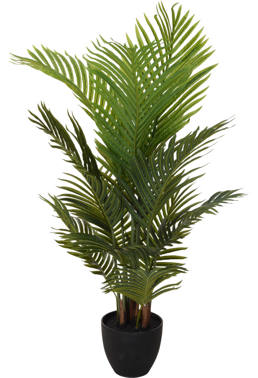 Palm Plant  94cm