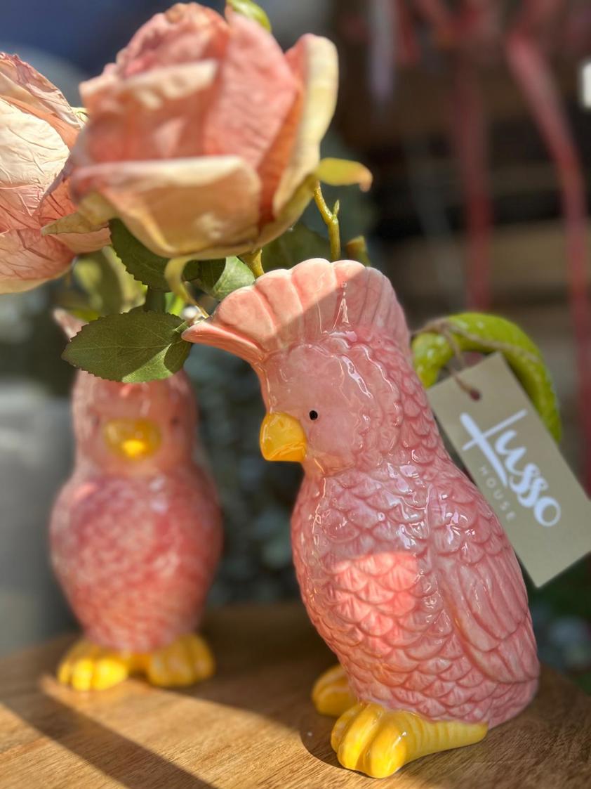 Polly Parrot Jug