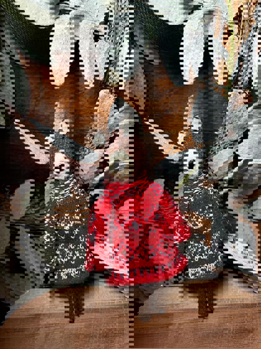 Hanging Animal Felt Decor Hanging Animal Felt Decor