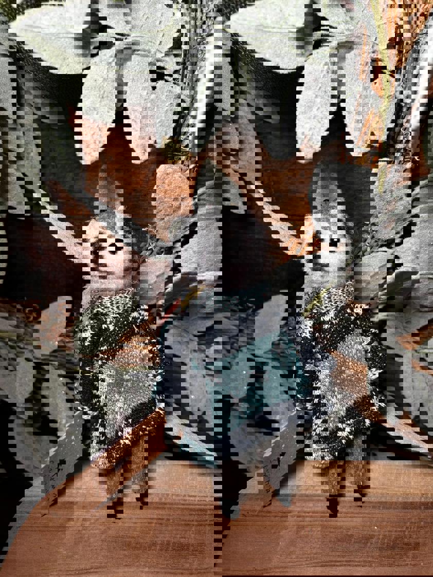 Hanging Animal Felt Decor Hanging Animal Felt Decor