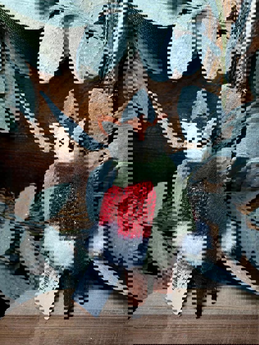 Hanging Animal Felt Decor Hanging Animal Felt Decor