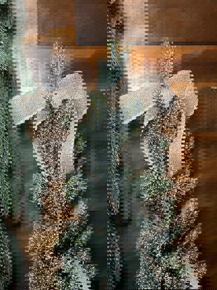 Pinetree in Burlap Pot