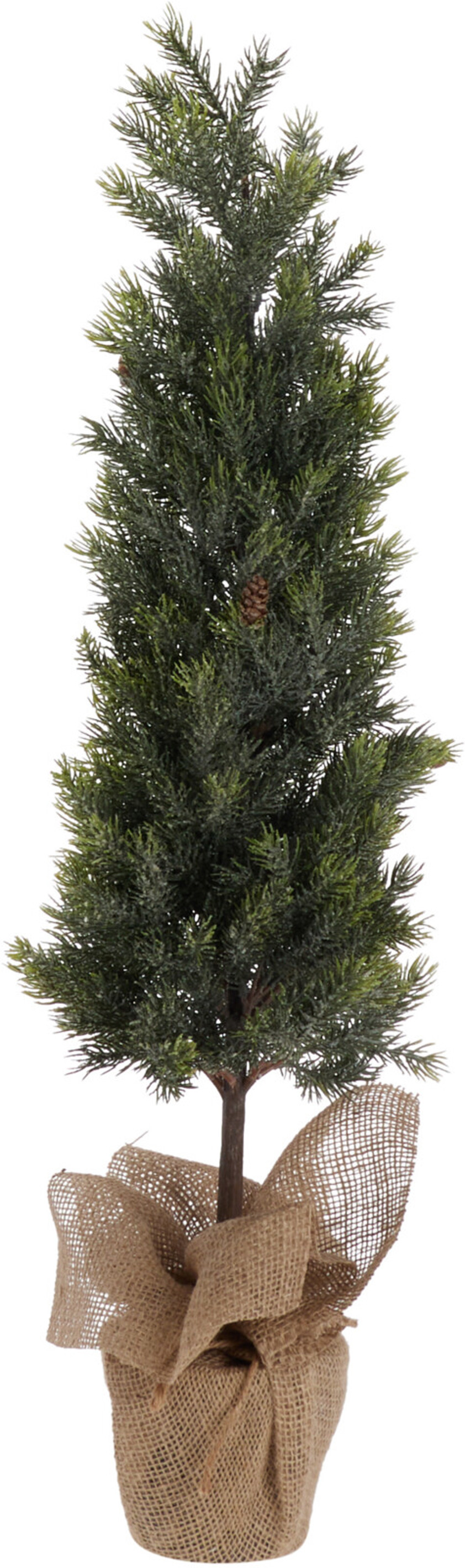 Pinetree in Burlap Pot Pinetree in Burlap Pot