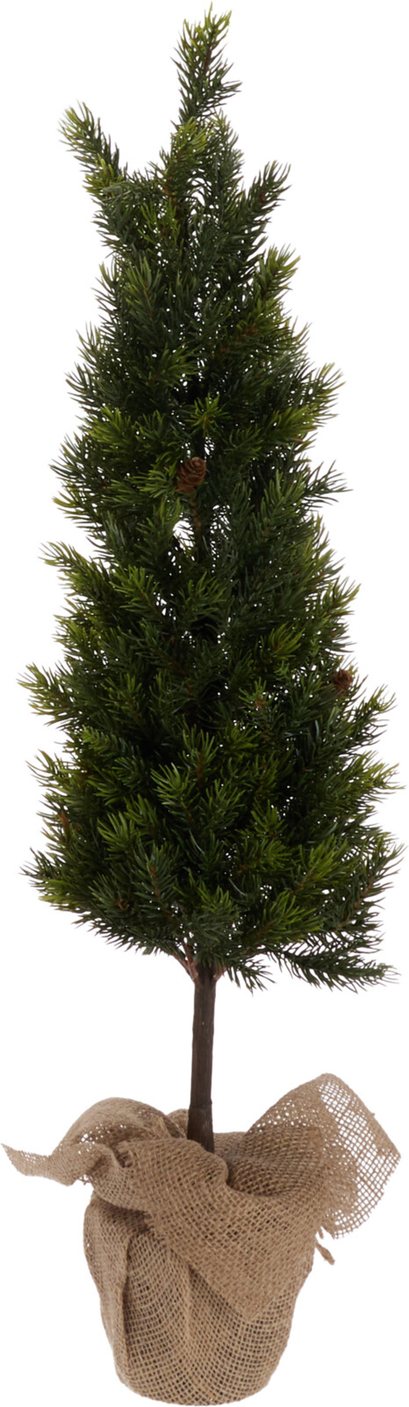 Pinetree in Burlap Pot Pinetree in Burlap Pot