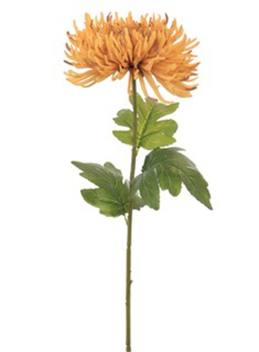 Fuji Mum Stem Honey