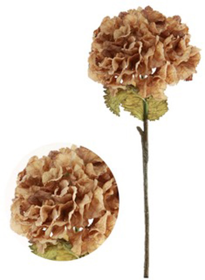 Dried Touch Ruffled Hydrangea Cappuccino