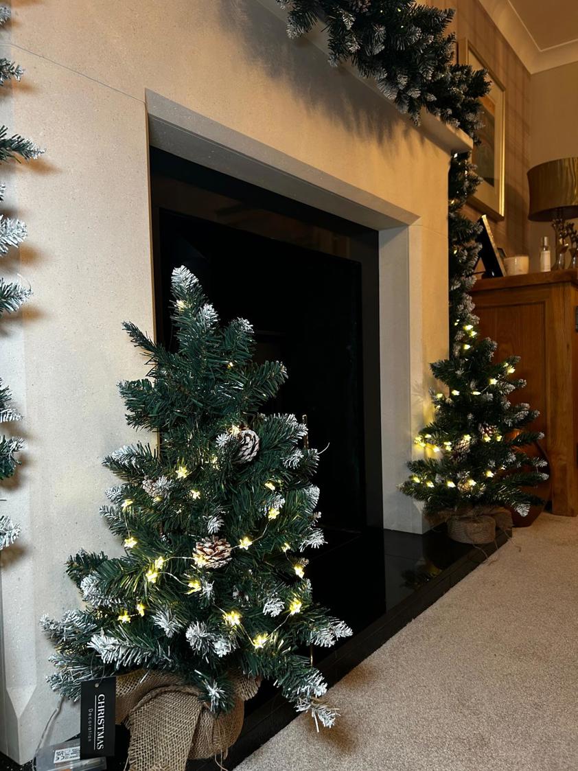 Christmas Tree with Snow Tips