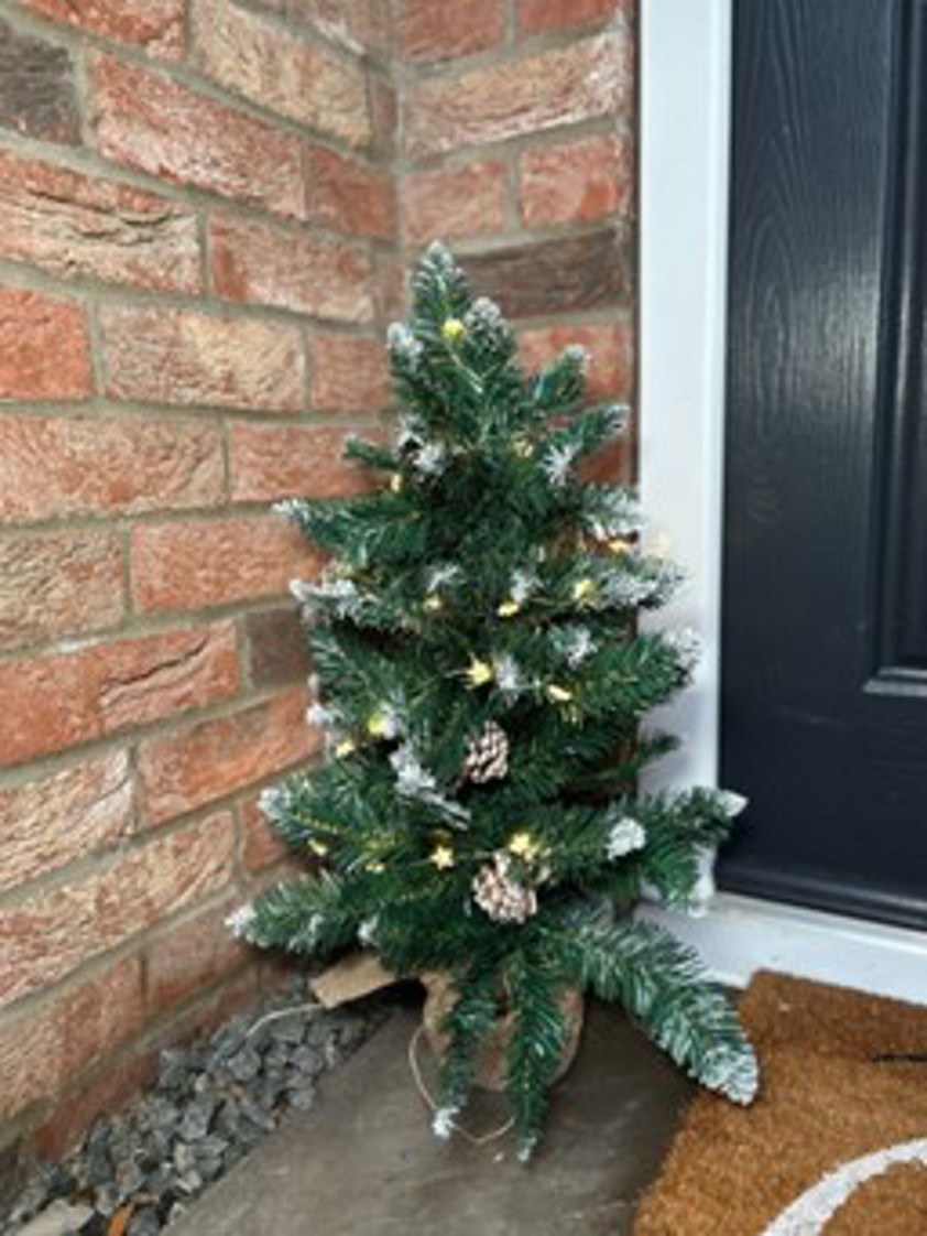 Christmas Tree with Snow Tips