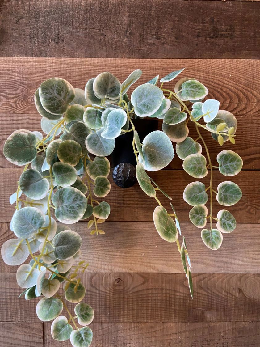 Green Leaf Artificial Hanging Plant in Pot