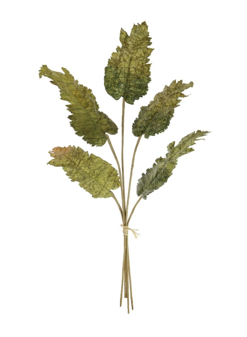 Dried Touch Large Fall Leaf Bunch Green
