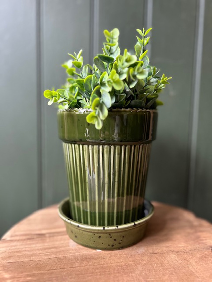 Green Stripe Planter