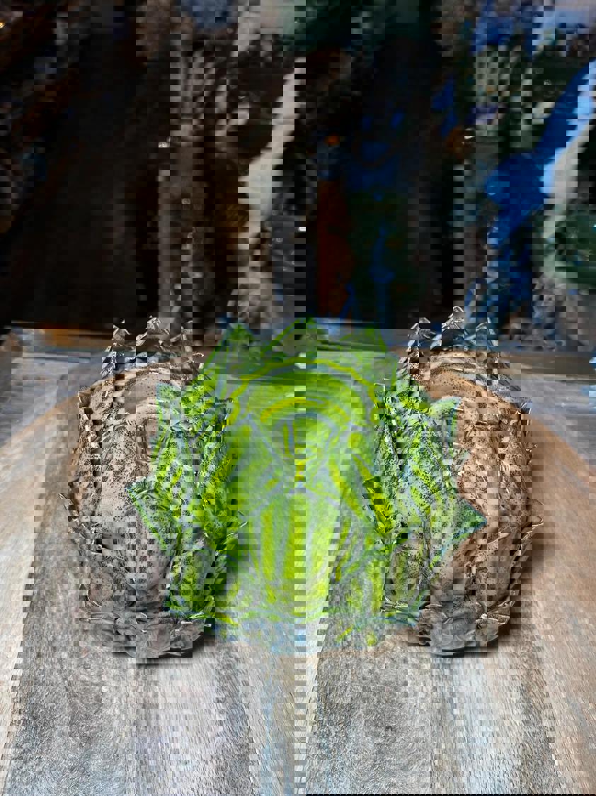 Green Artichoke Candle Holder