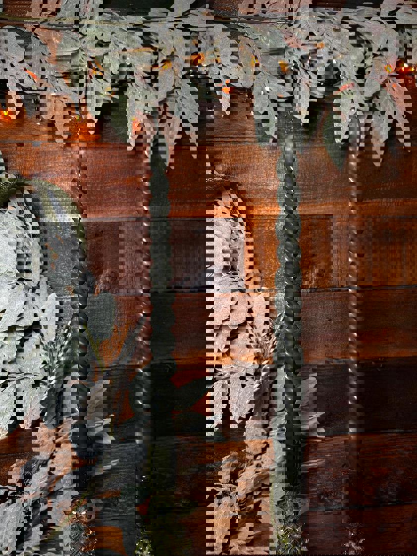 Green Twisted Dinner Candle Set Of Two Green Twisted Dinner Candle Set Of Two