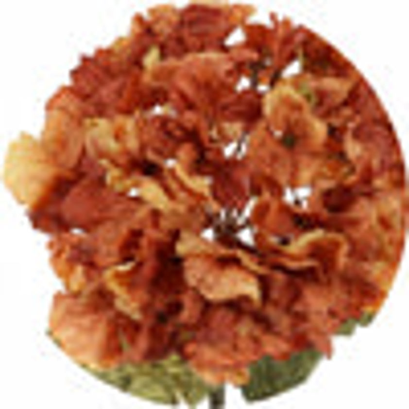Dried Touch Ruffled Hydrangea Orange Dried Touch Ruffled Hydrangea Orange