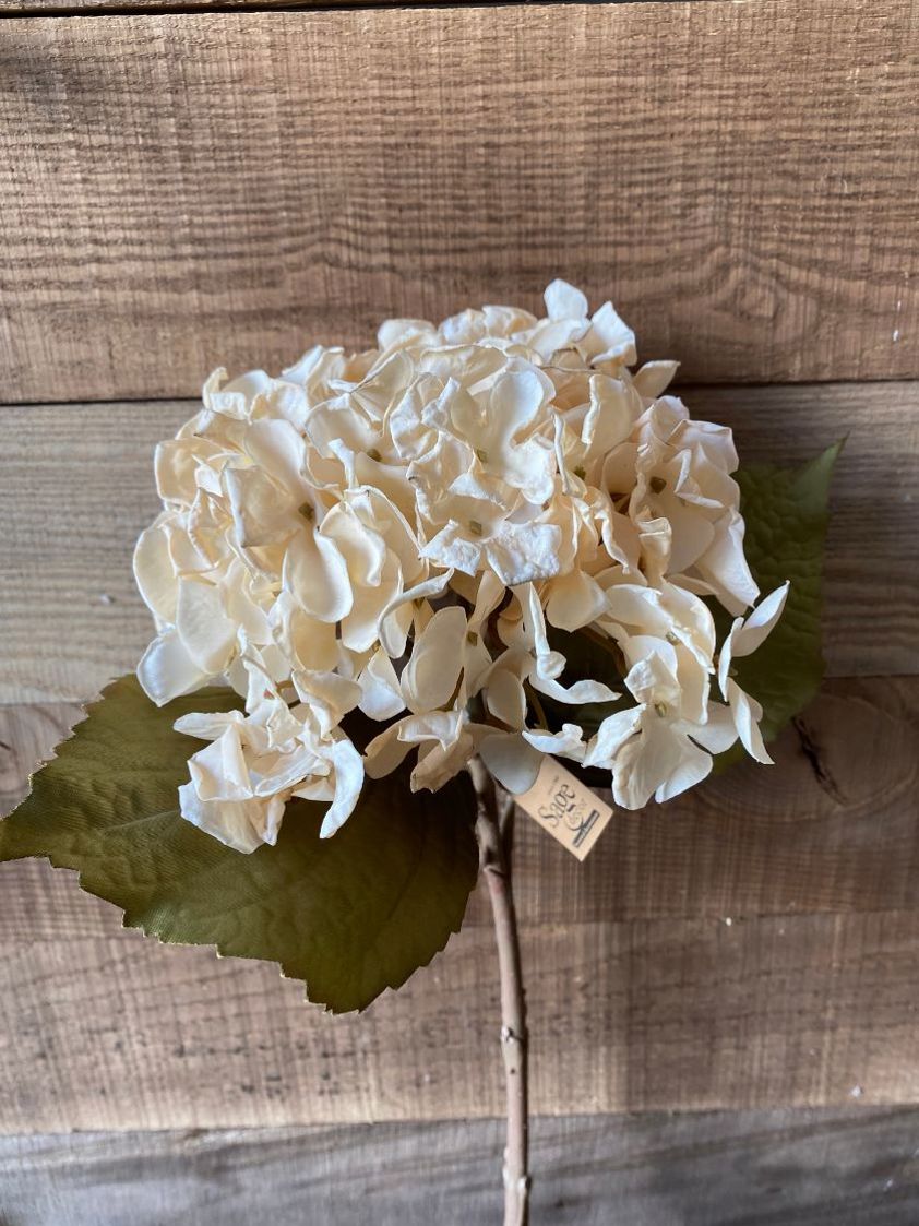 White Dried Artificial Hydrangea