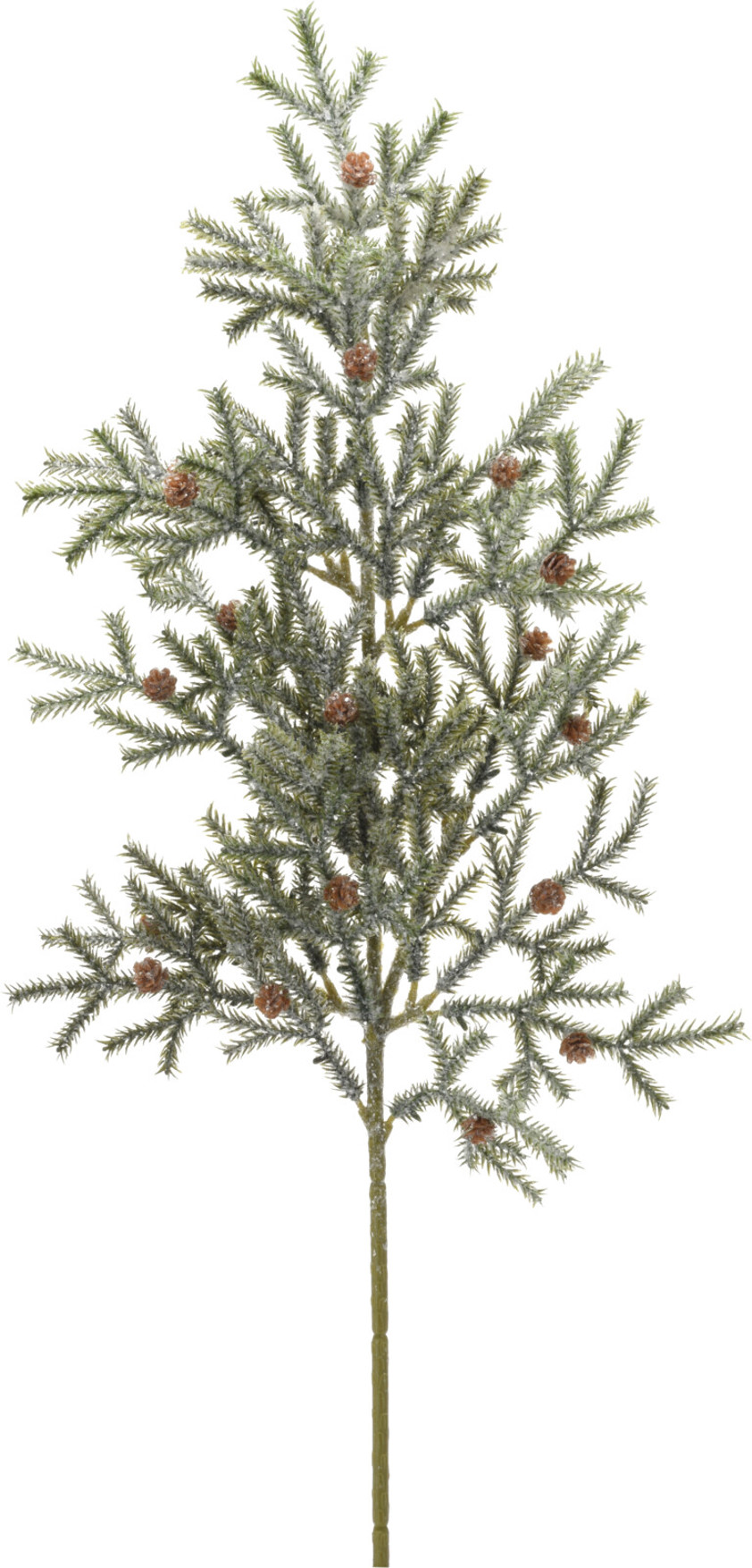 Pine Branch  Frosted