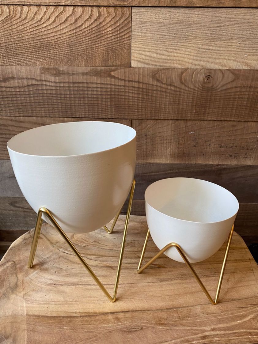 Planter on Gold Legs