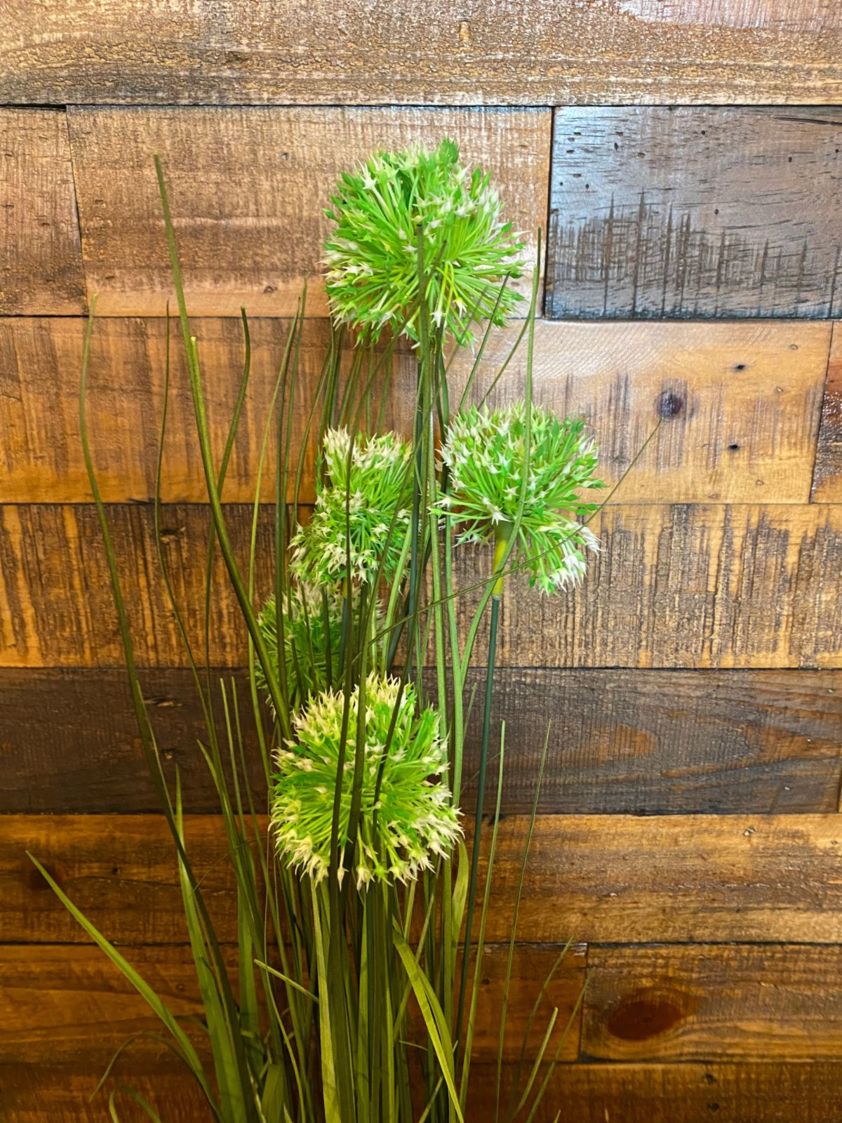 Green Pom Pom Tall Grasses with White Flowers