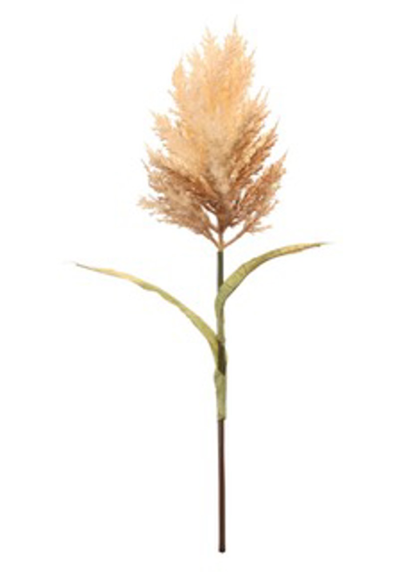 Large Feathered Astilbe Mocha