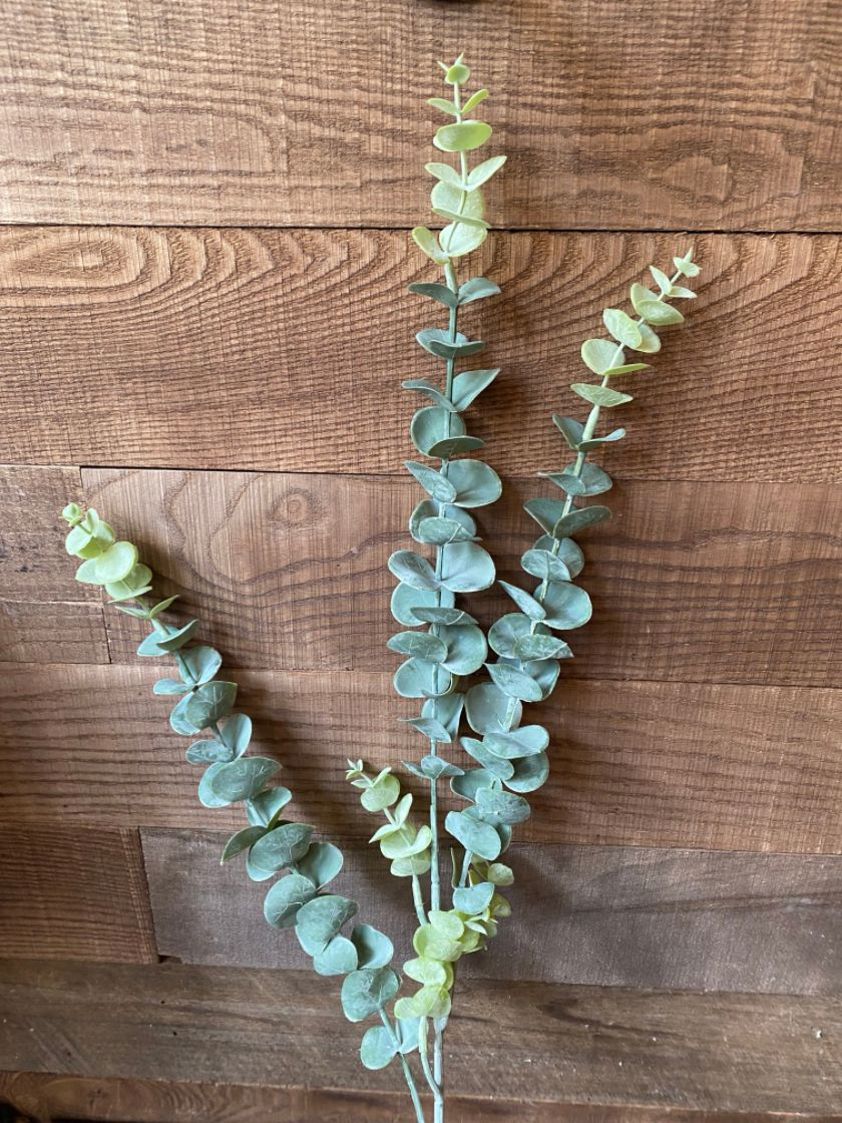 Light Green Dusted Eucalyptus Stem