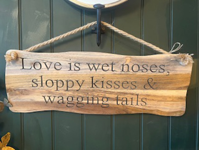 Wavy Edge Wood Sign With Rope Strap