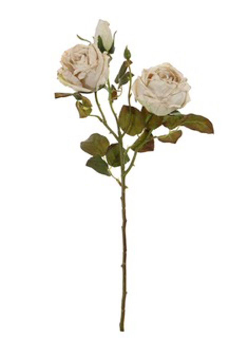 Dried Touch Valera Rose Spray Oyster