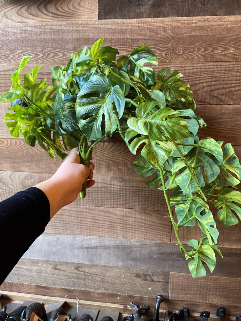 Hanging Bush