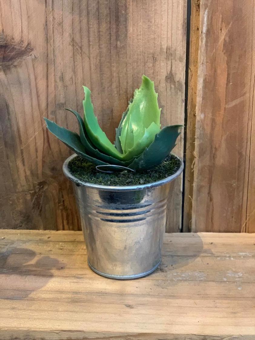 Style 4 Succulents in Metal Pot