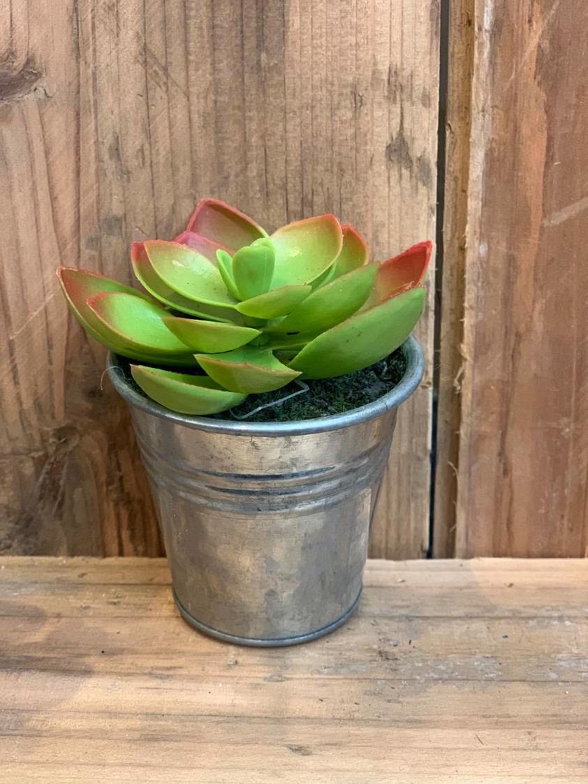 Style 3 Succulents in Metal Pot
