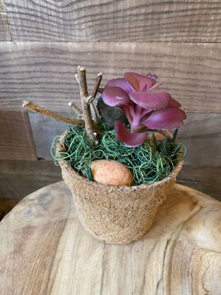  Style 1 Artificial Plant in Natural Pot