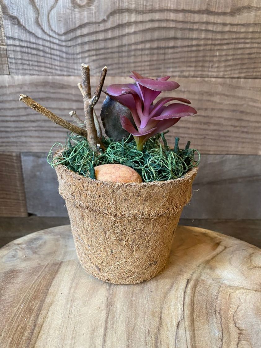 Style 1 Artificial Plant in Natural Pot