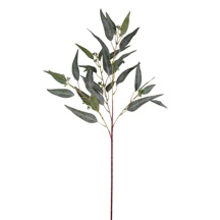 Eucalyptus Nicholii Spray