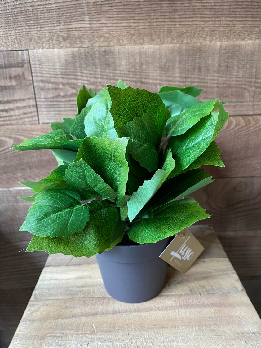 Style 5 Artificial Plants