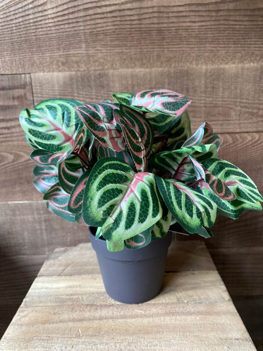 Style 6 Artificial Plants