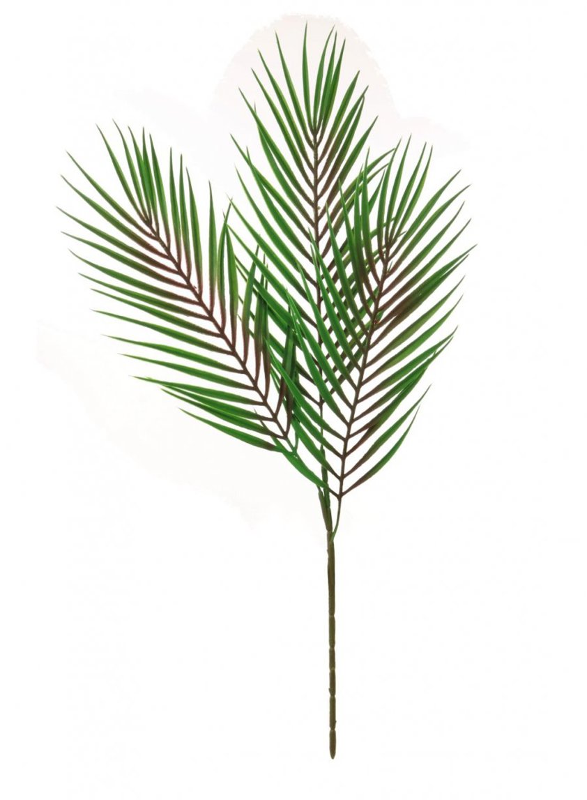 Three Stem Palm Leaf Natural Green