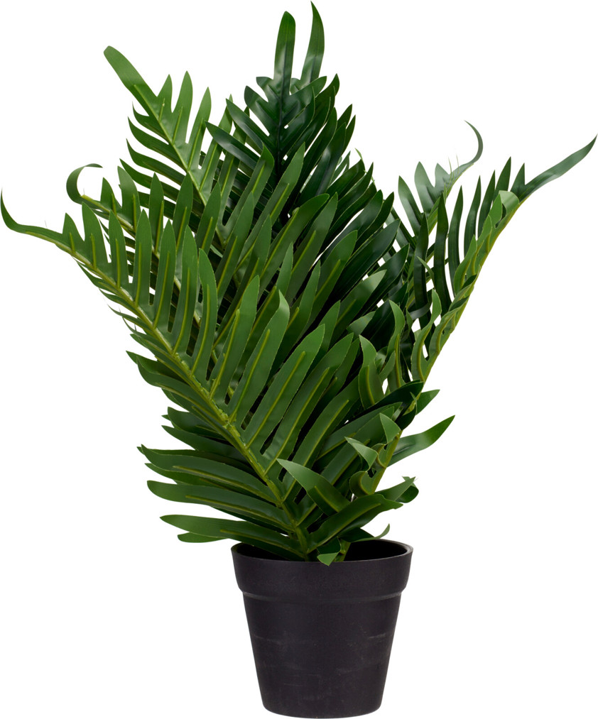 Faux Plant In Black Pot