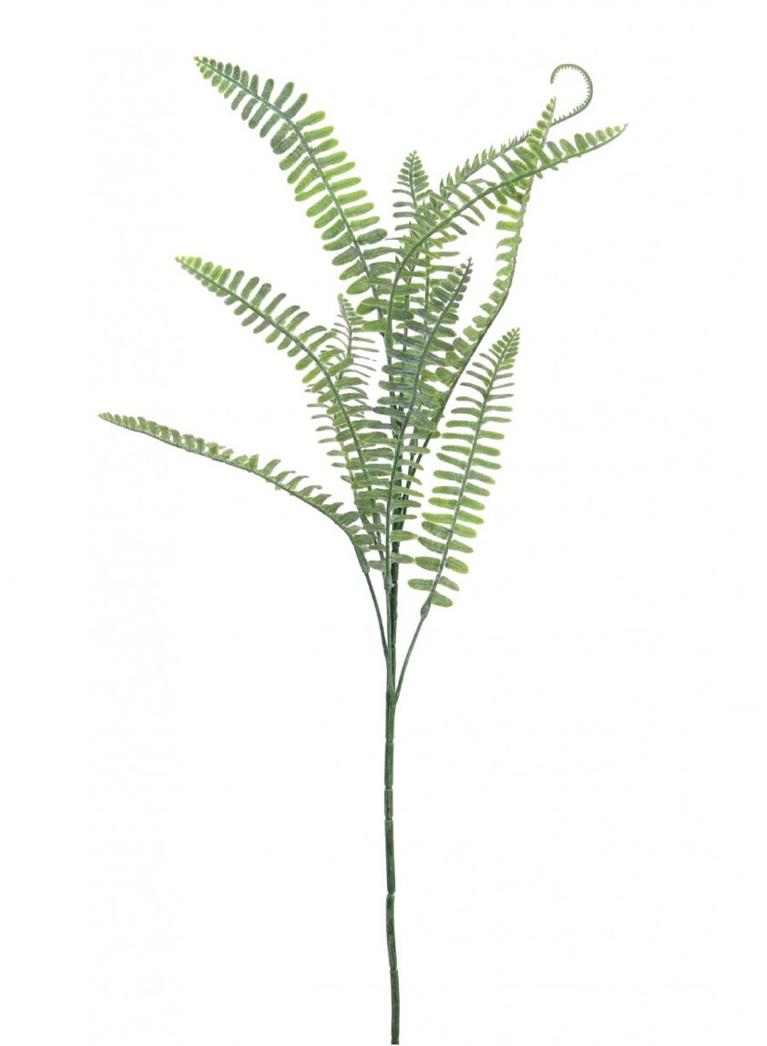 Dusted Royal Fern Spray Natural Green