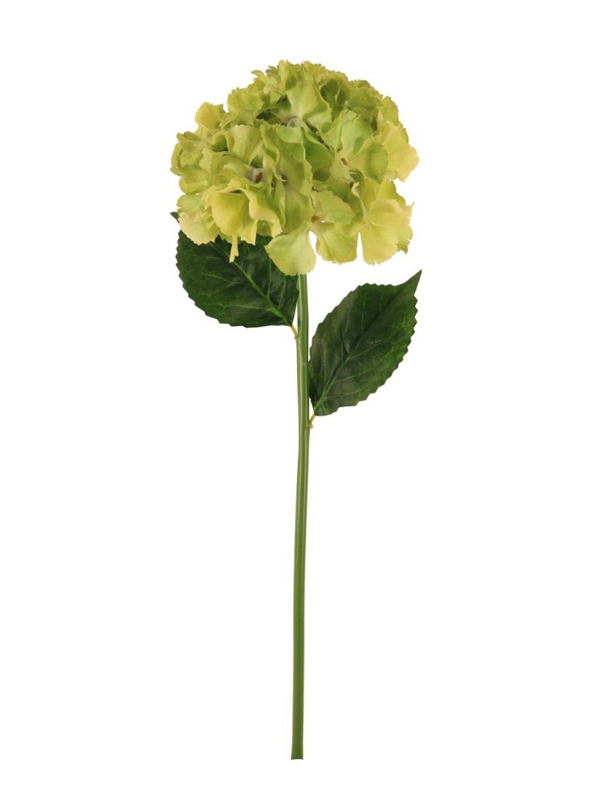 Silk Short Stem French Hydrangea Pale Green 176576