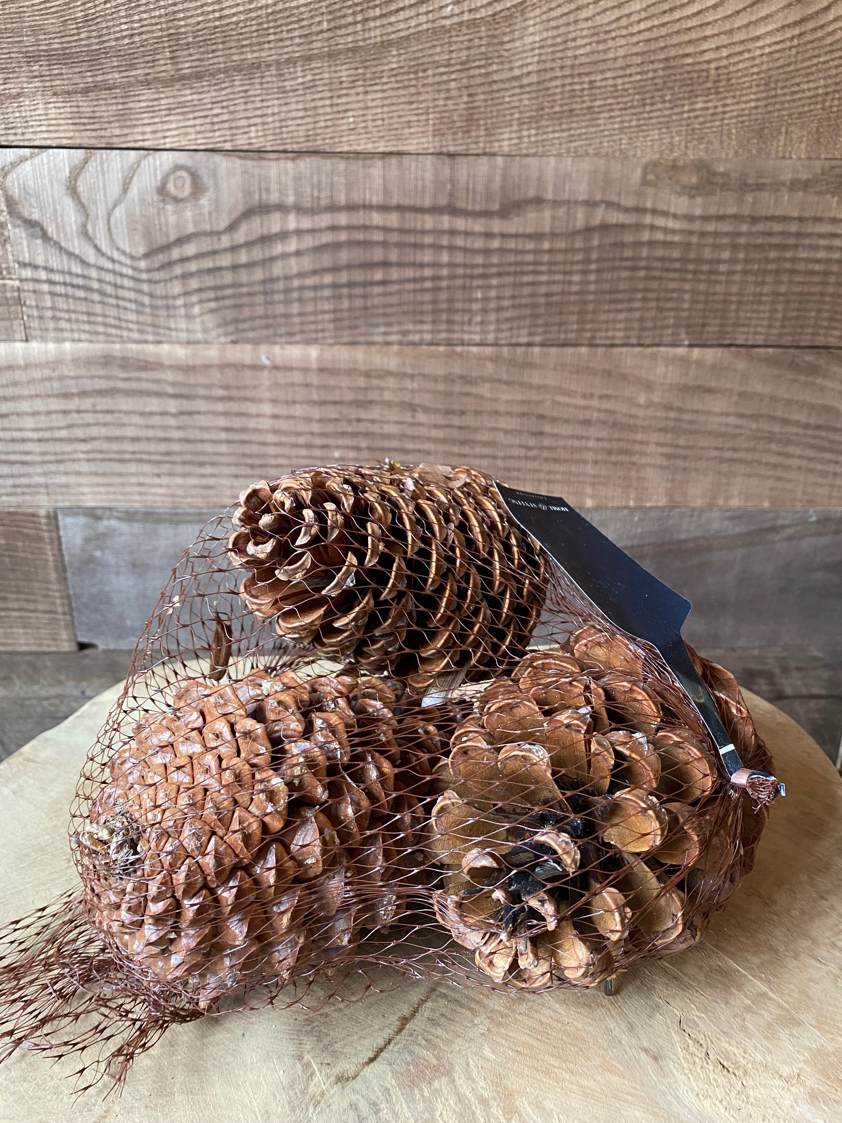 Natural pack of 3 Pinecones