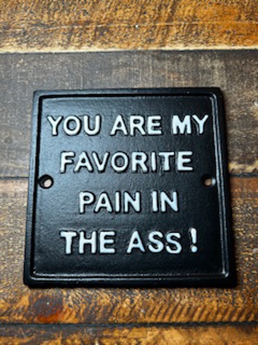 Pain in the Ass Metal Sign