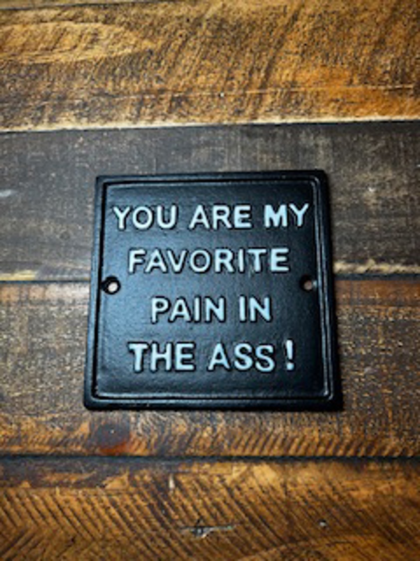 Pain in the Ass Metal Sign