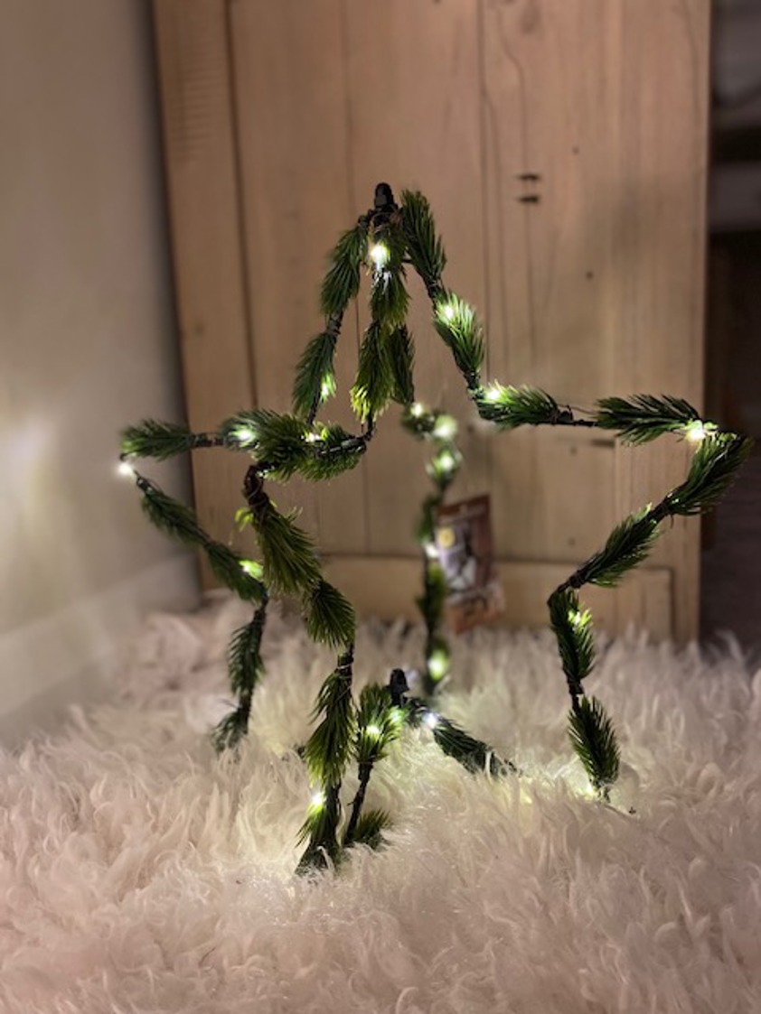 3D Star with Pine Decor