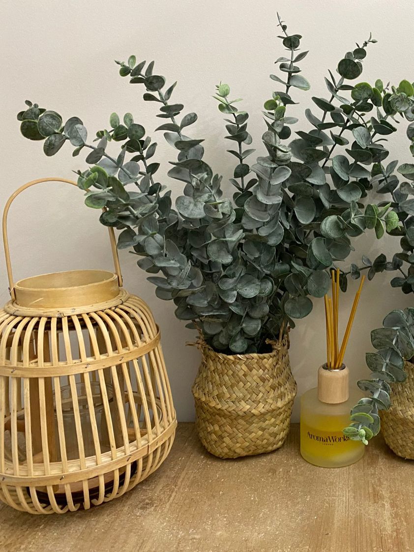 Eucalyptus in Natural Basket
