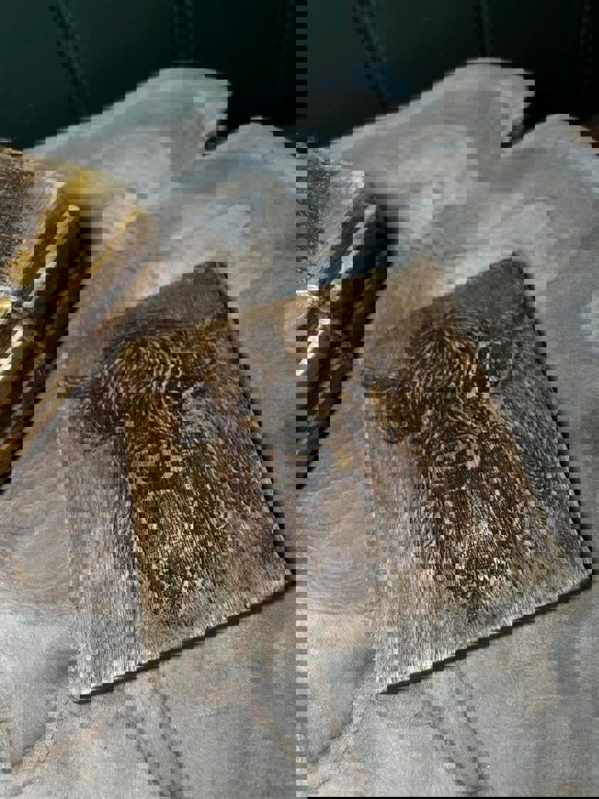 Highland Cow Mango Wood Coasters