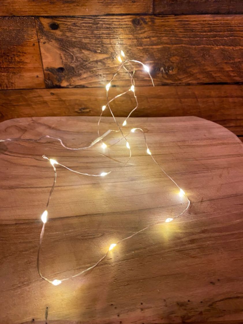 Copper - Extra Warm White 100LED Wire Lights