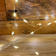 Silver - Warm White 100LED Wire Lights