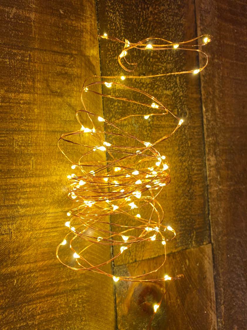Copper - Extra Warm White 100LED Wire Lights
