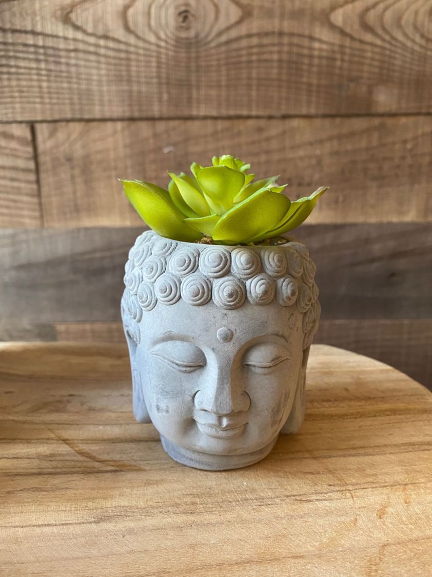 Light Green Stone Buddha Head with Artificial Succulent